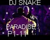 DJ Snake-Paradise