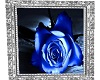 2 sided Rose blue pic