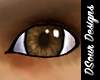 Eye Brown [Male]