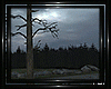 !T! Room | Zombieland