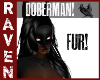 (F) DOBERMAN FUR!