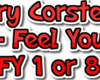 Ferry Corsten - Feel You
