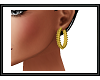 [G] Gold Hoop Earrings