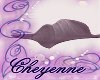 C~ Mauve Blanket NP