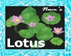 [J3J]Lotus F001