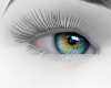 MZ B&G eyes