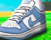 BLUE DUNKS