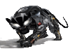 Panther robot