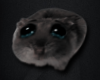 Sad Hamster - custom