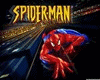 ~WS~spiderman highchair
