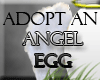 Adopt an Angel Egg!