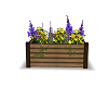 Garden box with flowers
