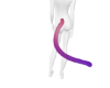 Isuno's Tail