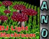 DJ Light Mushroom Gras A