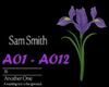 Sam Smith- Another one