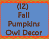 Fall Pumpkins Owl Decor