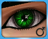 Gleam eyes - Jade