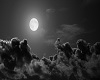 dark night full moon