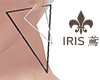 earrings3|IRIS