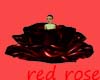 red rose effects light