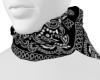 Bandana