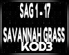 Kl Savannah Grass