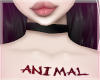 𝓶. animal <3