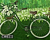 Spring Flowers Bicycle