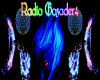Radio Gozader 4
