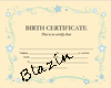 Baby Joziah Birth Cert.