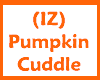(IZ) Pumpkin Cuddle