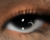Gaze Eyes