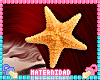 M. Ariel Starfish Head