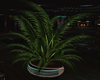 :G:Potted Plant