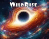 Black Hole Actions
