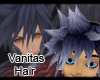 Vanitas Hair