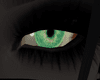 Ee Old One Gaze