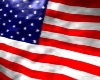[Li] USA Flag Sticker