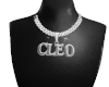 Cleo's Custom