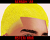  . Asteri Hair 11