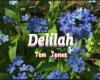 delilah (lyric)