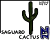 N}nw Saguaro Cactus_02