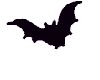 Bat Black Flyin Animated