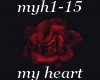 (shan)myh1-15 my heart