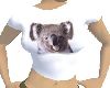 Koala T