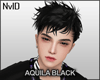 ^ Aquila black