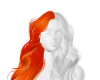 orange creamsicle - ☆