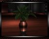 *Fallin  Vase
