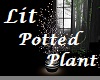 Lit Potted Plant