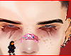 Panda brows